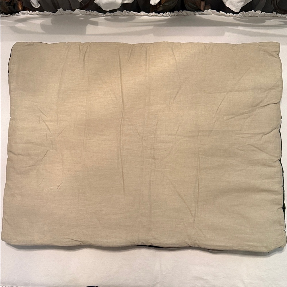 Pottery Barn Green Velvet Standard Sham - Picture 2 of 4
